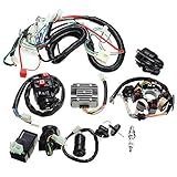 china quad ersatzteile bashan Material: Hauptsächlich aus Metallmaterial, langlebig.