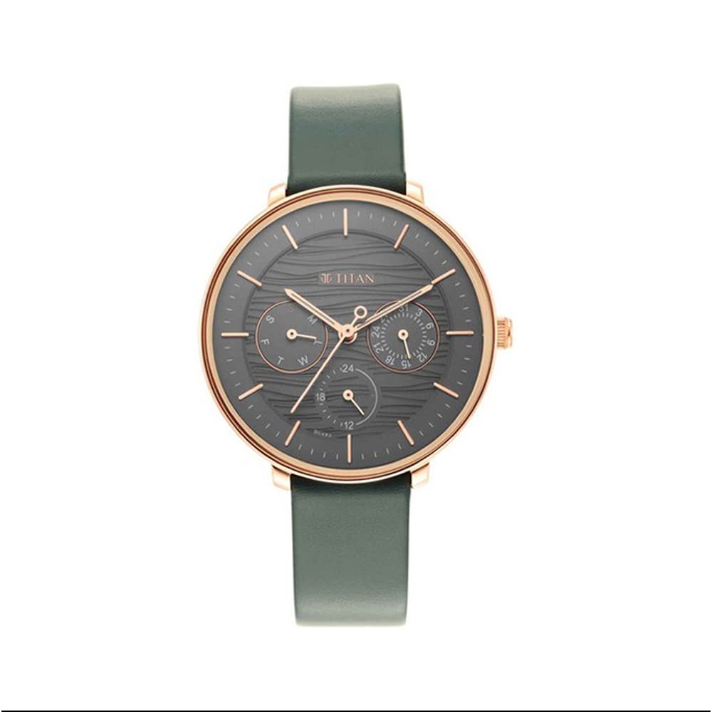 Titan Women Leather Analog Black Dial Watch-Np2651Wl02/Np2651Wl02, Band Color-Gray (B09GW5NJLB) Amazon Price History, Amazon Price Tracker