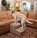 Pet Gear Easy Step II Extra Wide Pet Stairs, 2-step/for cats and dogs up to 200-pounds, Tan