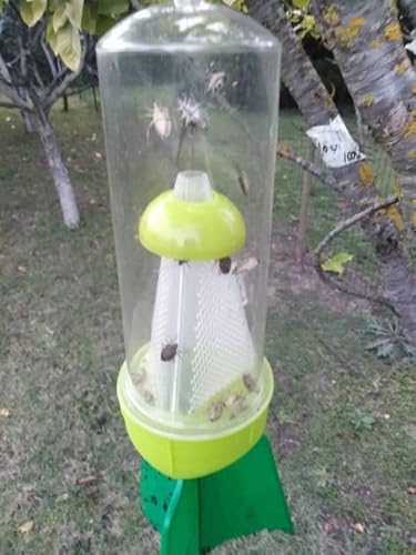 Trappola ecologica cimici asiatiche +2 attrattivo feromoni Kit Diablex