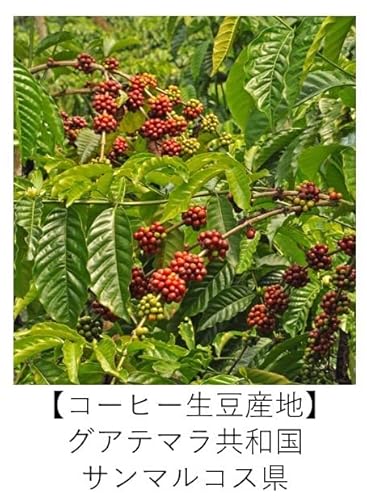 ミカローストCoffee グアテマラ 有機オーガニックコーヒー 300g 粉