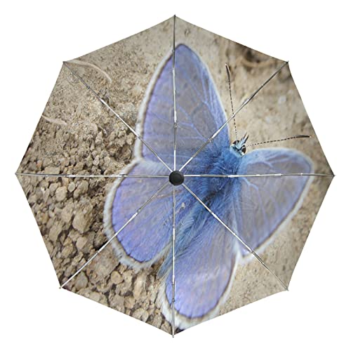 Parapluie automatique pliable pour femme qui protège de la pluie et des UV