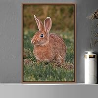 Framed Canvas Wall Art Bunny Animals Bedroom Expressive Multicolor Photography Rabbit Rustic - 16x24 inches
