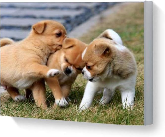 Your Personalised Photo Image Picture on Canvas Print Framed Ready to Hang Wall Art (36cmx28cm With Frame)