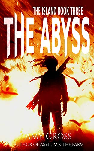 The Island Books in Order by Amy Cross