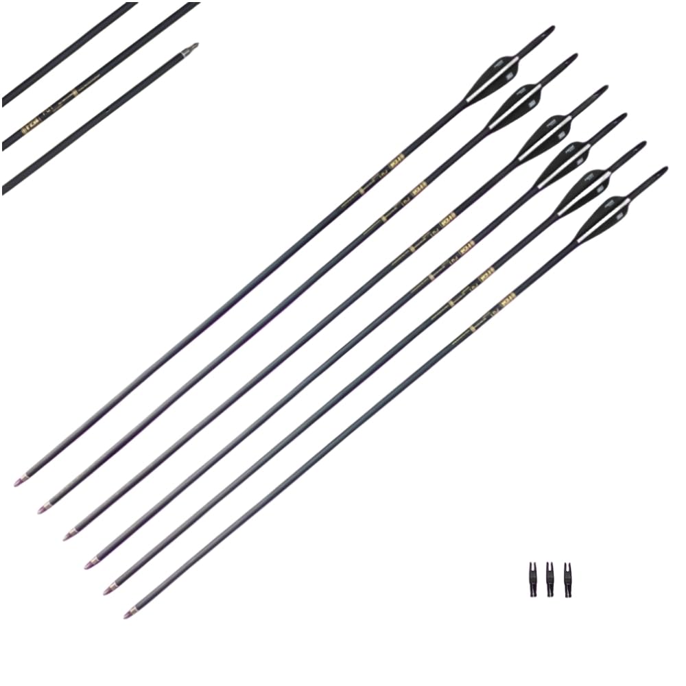 30Inch Carbon Arrow Practice Hunting Arrows with Removable Tips for Compound & Recurve Bow