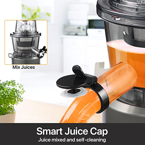 Sifene Vertical Cold Press Juicer, Slow Masticating Juicer Machine, Juice Maker Extractor With 3.2" Big Mouth For Whole Fruits And Vegetables, Easy To Clean #TOP2