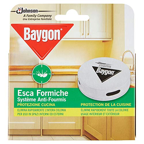 Baygon Piège Anti-Fourmis Boîte à Appât Usage Intérieur et Extérieur