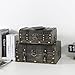 Soul & Lane Explorations Wooden Decorative Storage Boxes - Set of 2, Wood Pirate Chest for Keepsakes and Home Décor, Vintage Suitcase Trunks with Hinged Lids