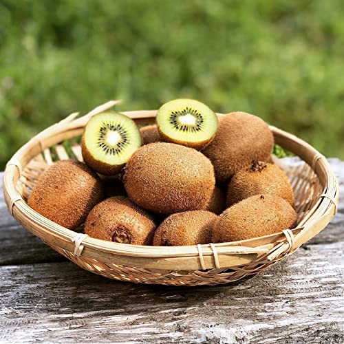 �L�@ JAS �I�[�K�j�b�N �Ⓚ �L�E�C ���_�� ���w�엿�s�g�p ���Y �Ђъ��ꂠ�� 1kg All-Natural Frozen Kiwis from Japan Cracked Skin (���T�C�Y (1�p�b�N))