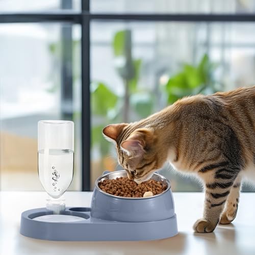 Futterstation Katzen mit Automatischer Wasserflasche 2 In 1 Erhöhte Schüssel Aus Edelstahl Anti-Erbrechen Katzennäpfe für Kleine, Mittelgroße Katzen Hunde Blau