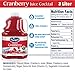 Ocean Spray® Cranberry Juice Cocktail, 101.4 Fl Oz Bottle (Pack of 1)