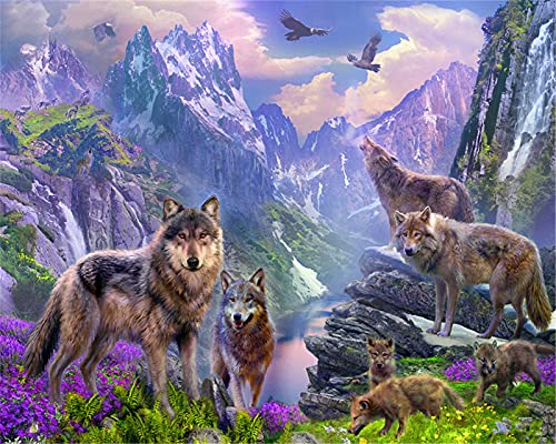 YEESAM ART Arte de lobos en la Cumbre de la Montaña, pintura por números, 16 x 20 pulgadas, pintura al óleo, pintura al óleo, arte de pared (lobo, con marco)