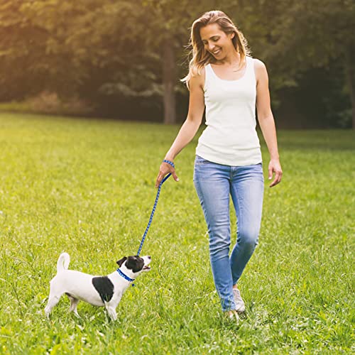 Molain 2-teiliges Hundehalsband und Leine Set, verstellbares Hundehalsband mit Leine, Schnellverschluss, Schnallenhalsband für kleine Hunde, Katzen, Welpen, Kätzchen (Blau+Rot)