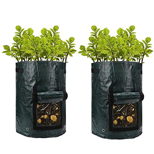 BJ-Shop Plantentas, tuin, groenten, plantentassen, impregneren van aardappelplantentassen, duurzame bewerkingszakken voor tuin of balkon-groenteplanten