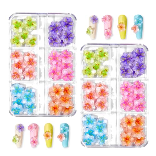 siawadeky �� �l�C���p�[�c 6�F �l�C���Z�b�g 2���Z�b�g 3D�l�C�� �f�R���[�V�����p�[�c ���̃V�[�N�C�� �f�R�p�[�c �a�� �l�C���f�R�p�[�c ���� ���� ���ԃp�[�c ��|�p�[�c DIY �f�� ���� �W���G���[�p�[�c ���[�{�b�N�X�t��