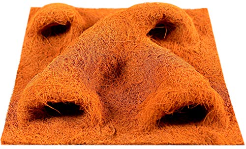 TropicShop Rückwand aus Natur Kokos/Kokosfaserrückwand - Kokosfaser Terrarium Rückwand mit Pflanzentasche (50x50cm)