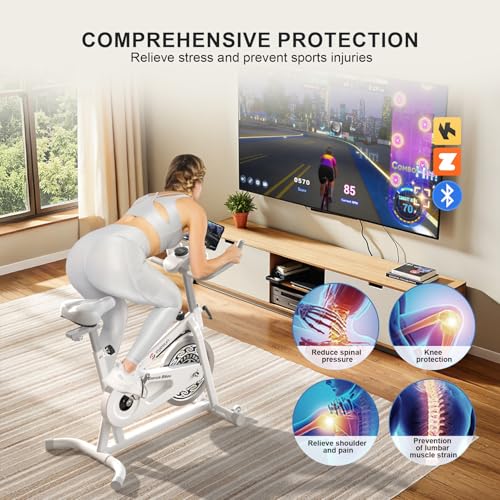 Magnetic Resistance Indoor Cycling Bike