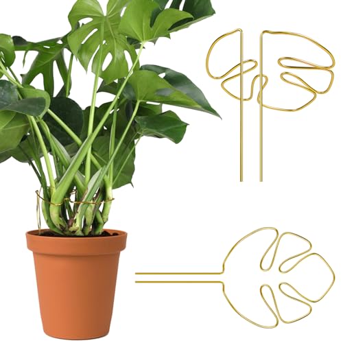 2 pcs Monstera Plant Support,Unique Monstera Shaped Plant Support Ring,Plant Support Stakes for Outdoor Plants and Indoor Plants (Gold)