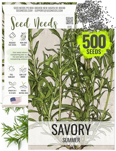 Seed Needs Summer Savory Seeds for Planting Herbs - Non-GMO Heirloom & Untreated Annual Herb Seed to Plant a Culinary Kitchen Garden Indoors or Outdoors (1 Pack)