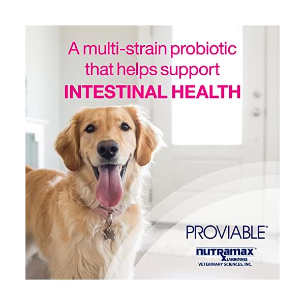 NutraMax Proviable Supplement Kit, Medium/Large Dog NutraMax Proviable Supplement Kit, Medium/Large Dog