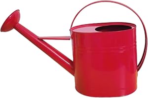 Generic 5 L Metal Watering Can Water Can Garden Watering Jug for Indoor and Outdoor Plants, Red
