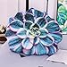 Smvala Coussin Succulent, Coussins de Fleurs Mignons, Coussin de Cactus, Coussin végétal, Coussin en Forme de Plante, décor de canapé végétal, Peluche succulente, décor de Cactus, décor Succulent