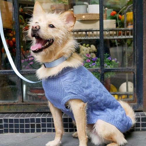 Pull classique tricot texturé chien col roulé bleu chiné dos 40cm - 4