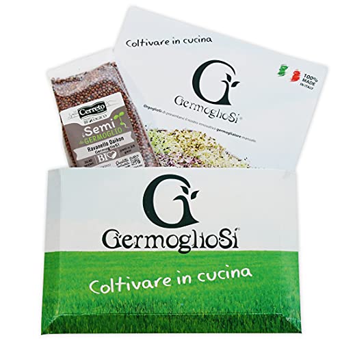 Semi di Ravanello Daikon da germoglio selezionato