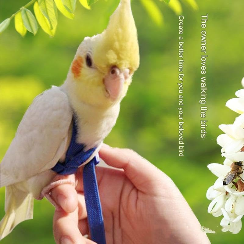 BaronHong Bird Harness Leash Kit for Walking,Durable Outing Gadget Adjustable Flying Training Rope Strap,Traction Rope(Blue,XS)