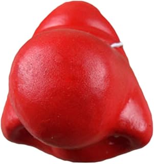 PRETYZOOM Red Nose Honking Circus Clown Nose Comic Party Supplies Halloween Masquerade Costume Accessories Funny Props (Random Style and Color) Party Favor
