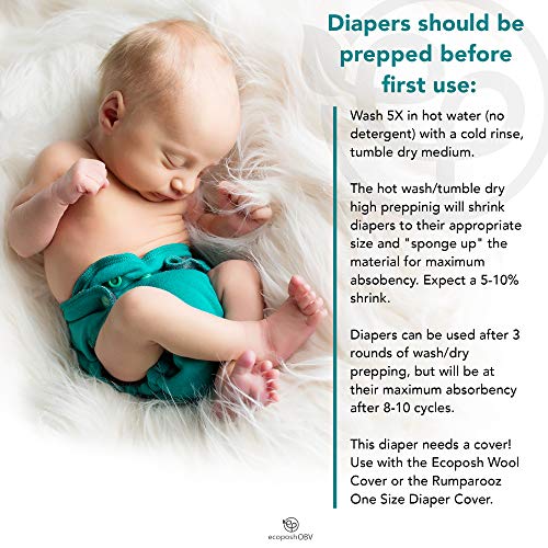 Kanga Care Ecoposh Obv Newborn Baby All In One Aio Fitted Cloth Diaper For Heavy Wetter And Nighttime | Adjustable, Absorbent, Reusable, Washable, Organic Bamboo Velour | Glacier (Gray) 4-12 Lbs #TOP3