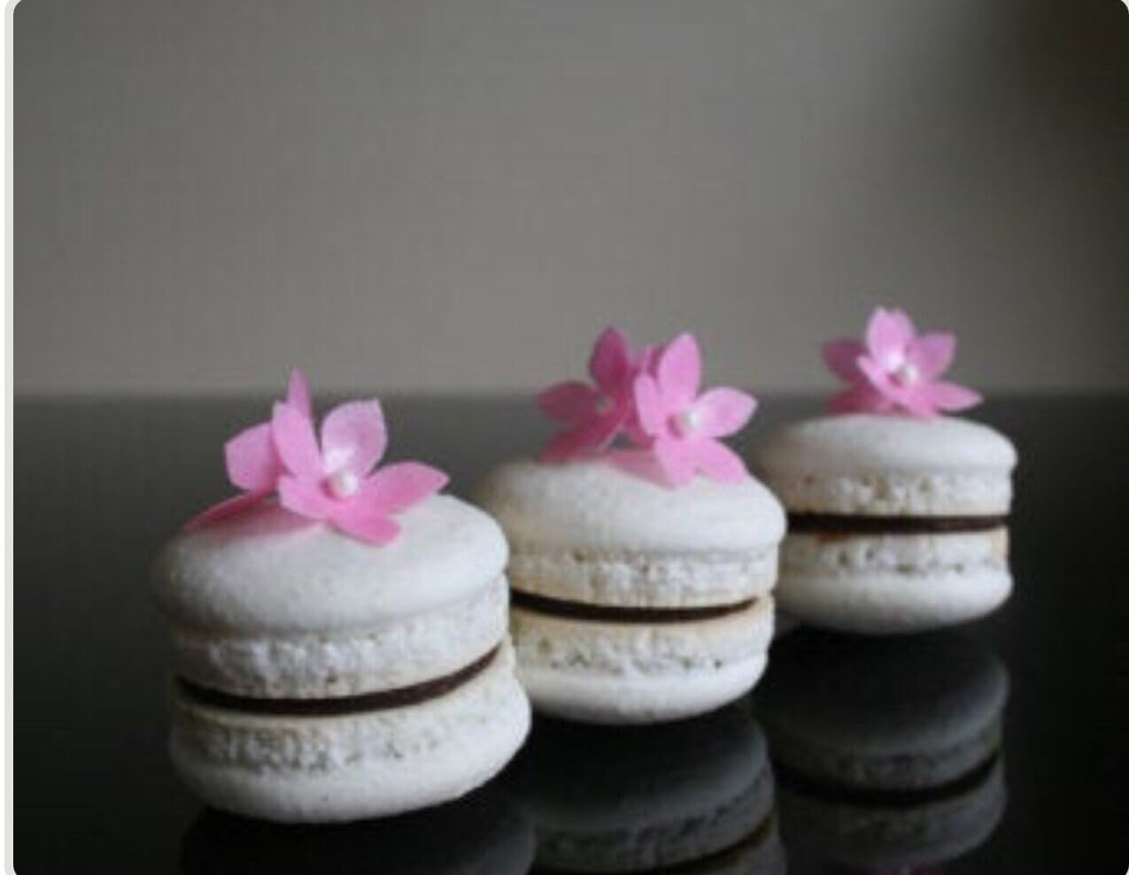 X100 Jasmine Shiny Pink Handcrafted Edible Wafer paper topper for cakes/wafer flower/winter wedding cake topper/cupcake topper)