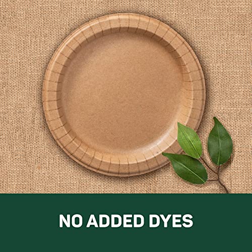 Ecosmart® 100% Recycled Fiber Paper Plates, 10” Dinner Size Disposable Plate, 144 Eco-Friendly Plates (4 Packs Of 36 Plates Each) #TOP4
