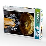 Puzzles sind unterhaltend, fördern Wohlbefinden und stimulieren beide Hälften des Gehirns. Das kann die mentale Leistungsfähigkeit sowie Konzentration und Gedächtnis fördern