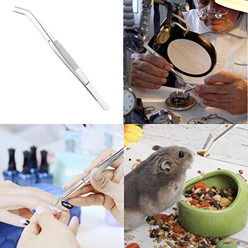 Rpanle Pinzette, Professionelle Pinzette aus Edelstahl, Schräge Pinzette, Spitz Pinzette, Präzisionspinzette für Zupfen von Augenbrauen, Barthaaren oder kleinen Härchen für Damen und Herren, 15.5cm - Image 4