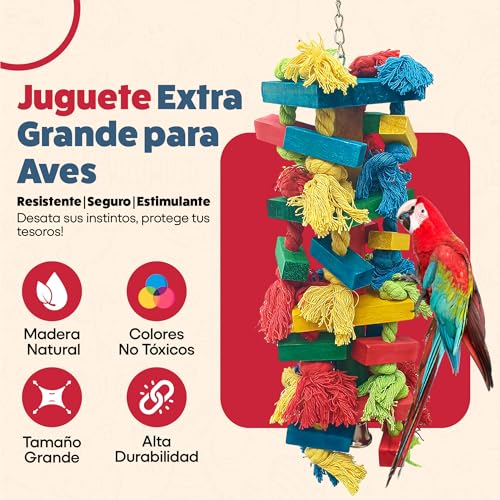 Precio de pericos 2 Imagen adicional