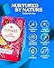 Individually Wrapped Tea Bags By Lovare Made in Ukraine - Black and Green, Floral, Passion Fruit, Huchlebbery Herbal Set with Flowers - Gift Box For Blooming Tea Lovers Men & Women - 48 g (24 tea bags x 2 g each) (Love Blossom)