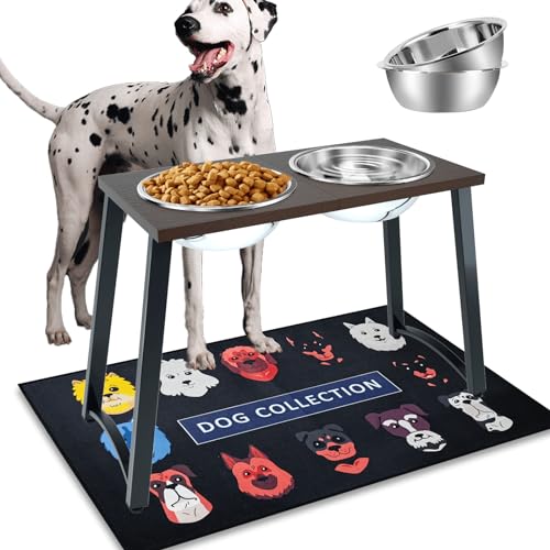 Find The Best Food Bowls For Boxers Reviews & Comparison Katynel