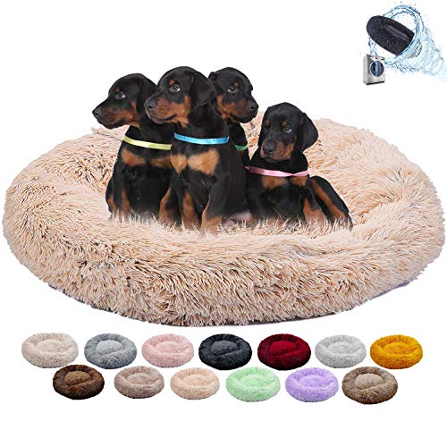 Yurun Panier Chien Chat, Coussin Relaxant Chat, Chaud Super Doux et Confortable, Fond imperméable pour Petits Chiens et Chats - Couleurs crème 40CM Cover