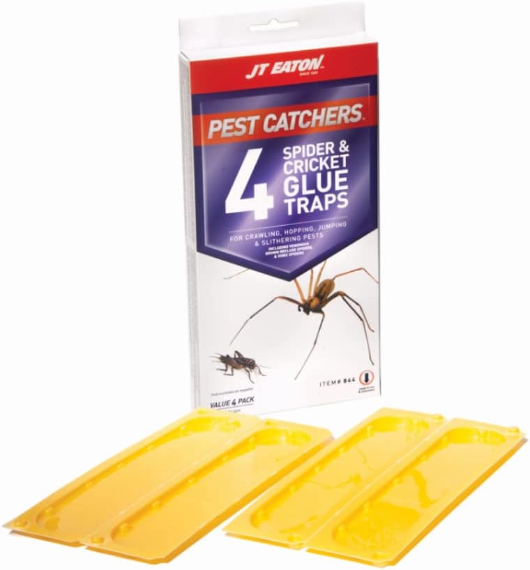 JT Eaton Home Pest Control Trap - Large Spider & Cricket Trap, Attractant Scented - 4 Pack