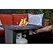 Endless Summer 30-Inch Square 30,000 BTU Propane Outdoor Fire Pit Table with Resin Mantel, Steel Base, Blue Fire Glass