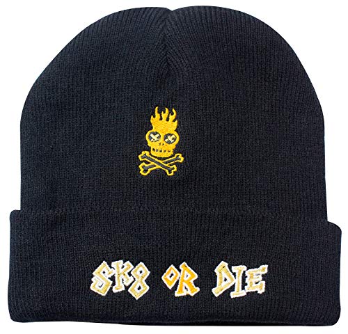 The simpsons witnerhat bart sk8 or die