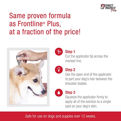 Direct Protect Plus 100536269 Flea & Tick Topical Treatment for Dogs, Waterproof & Fast Acting, 3 Month Supply, 5-22 lb