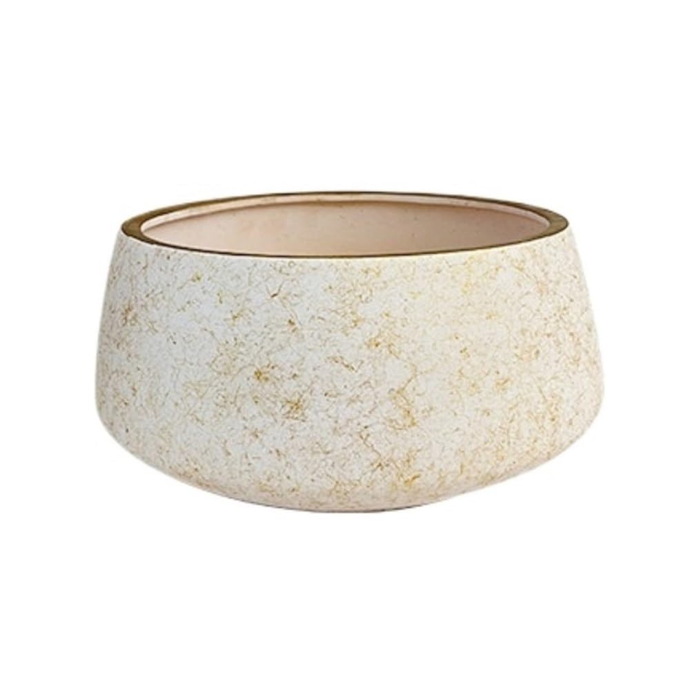 XBGfdySD Ceramic Succulent Pots, Round Shallow Planter with Drainage Hole and Tray, Flowerpot for Indoor Outdoor Plants(White,Medium)