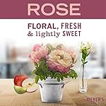 MRS. MEYER'S CLEAN DAY Liquid Hand Soap Rose (12.5 Fl Oz (Pack of 3)) - Image 3