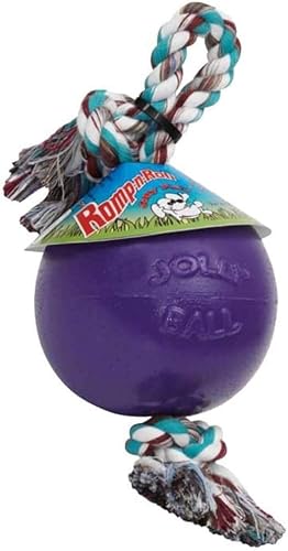 Jolly Pets Romp-n-Roll - Juguete para perro, 8 pulgadas, Púrpura