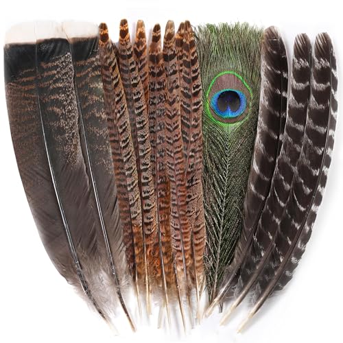 Ballinger Large Natural Pheasant Feathers - 8-12inch 4 Styles 15Pcs Assorted Craft Feathers Bulk Peacock Pheasant Turkey Feather for Crafting Vase Hat Wedding Autumn Party Decor