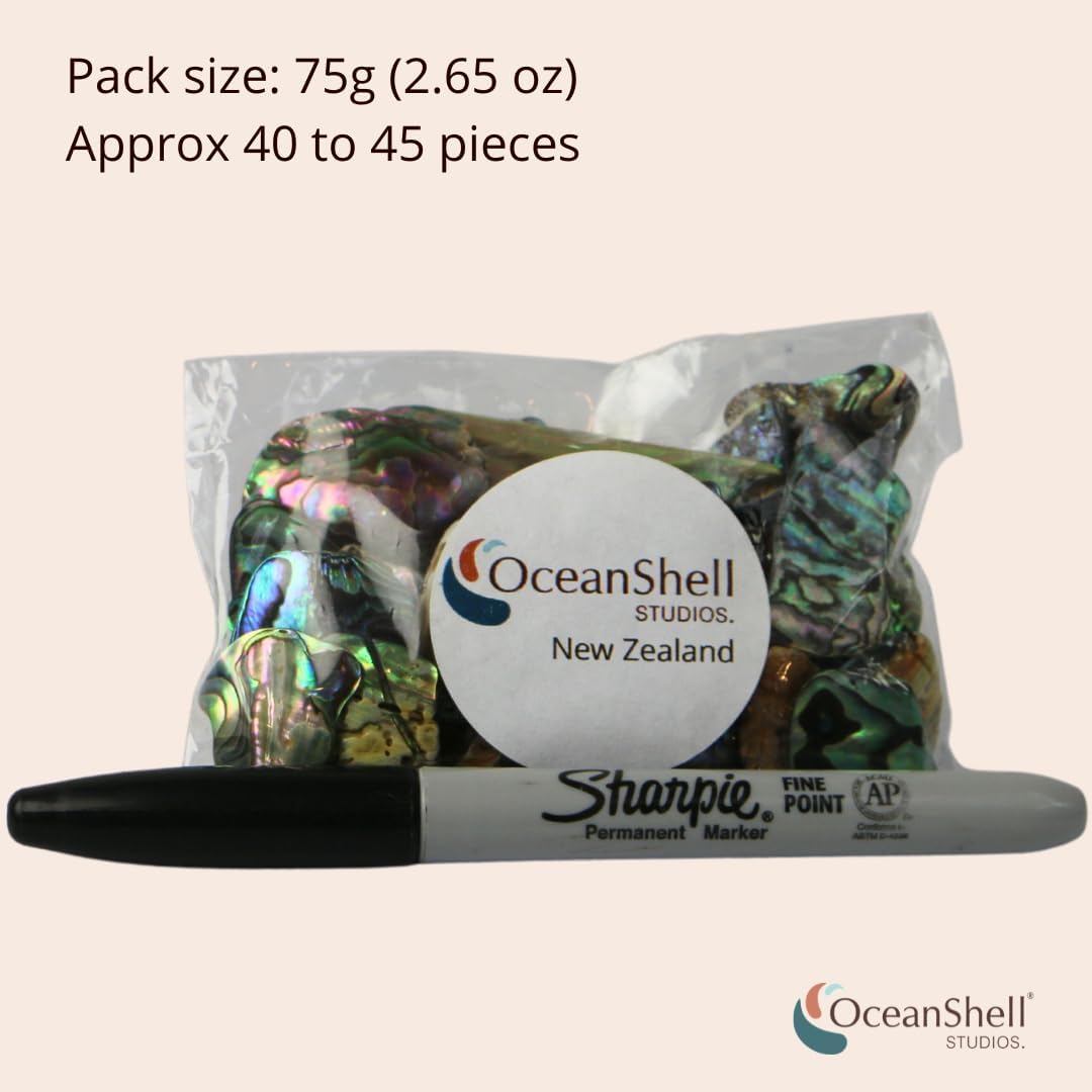 Abalone (Pāua) Shell Pieces-2.65oz Pack-for Crafts, Jewelry Making, Resin Art, Inlay, Home Decorations, Fishtank Supplies, DIY Projects - Satin, Small Size .60"- .98" (15-25 mm) 2.65oz (75grams)