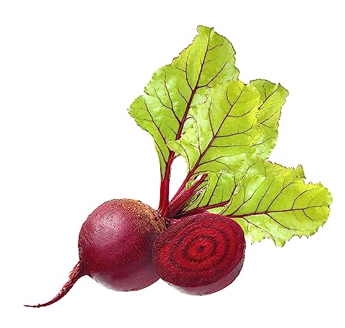Beet Seeds, 150+ Bull's Blood, Heirloom, Non GMO Seeds, Beta vulg...